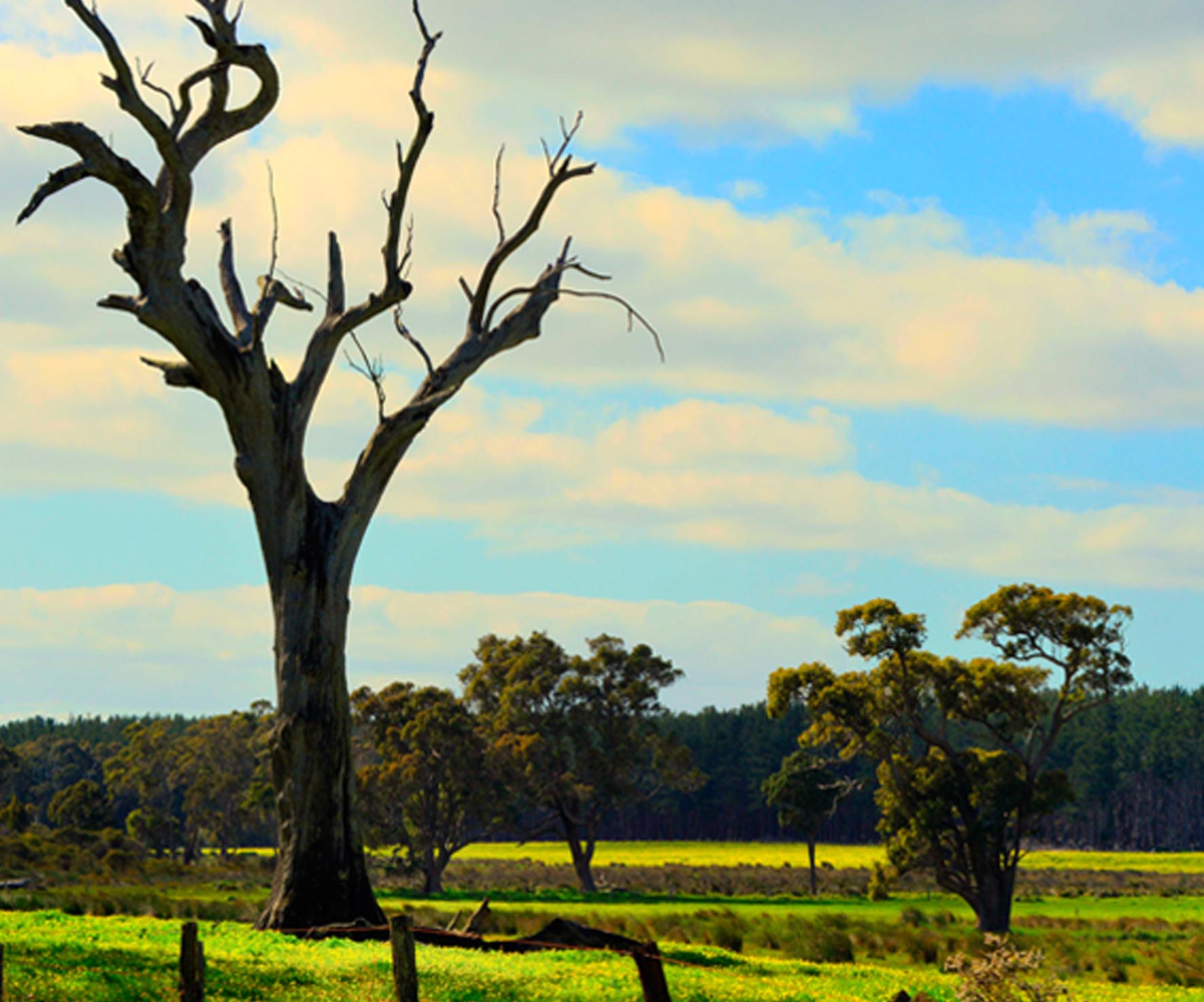 website design Busselton, website design Perth, Casa Studio, webdesign Busselton, webdesign Perth