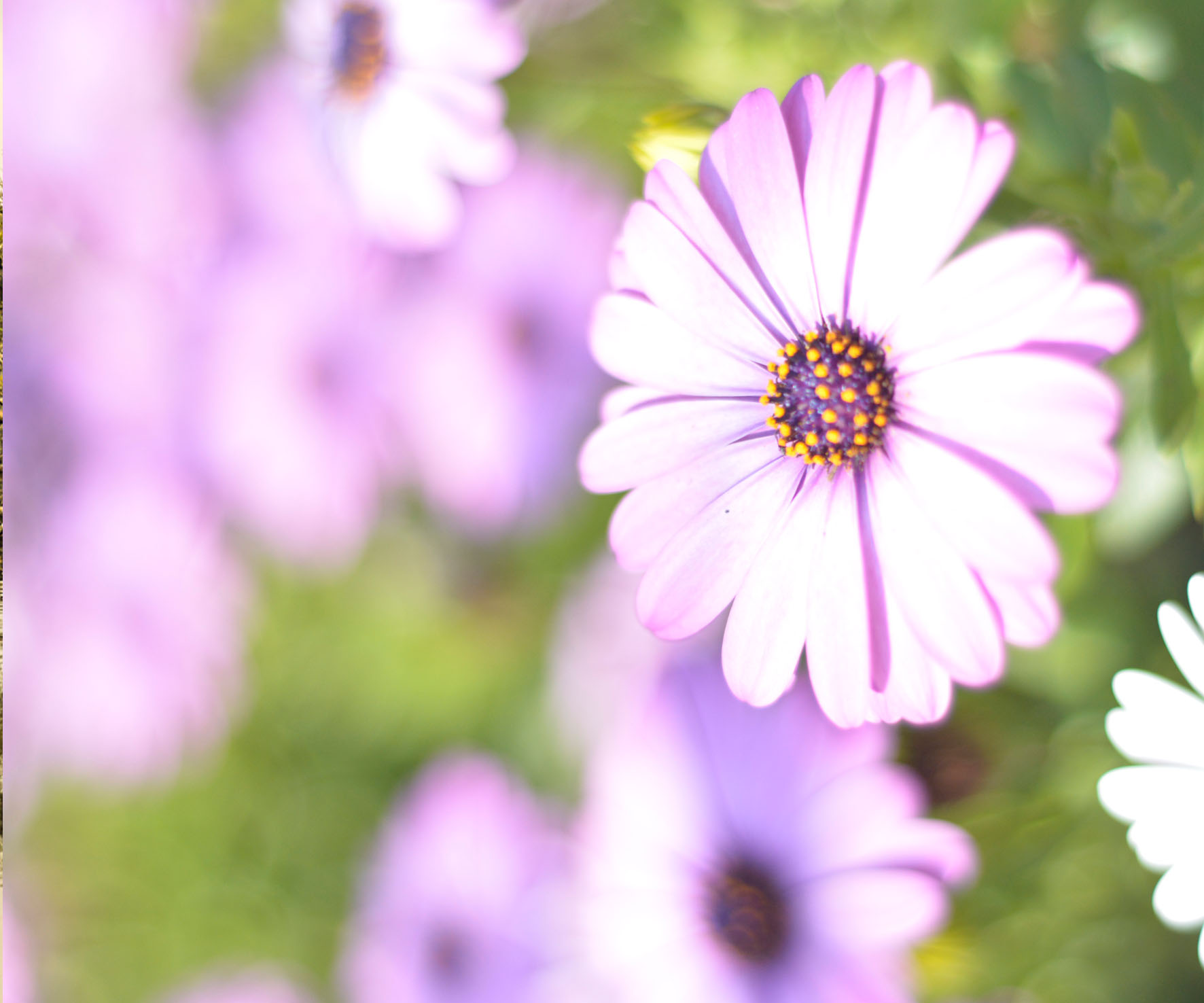 website design Busselton, website design Perth, Casa Studio, webdesign Busselton, webdesign Perth