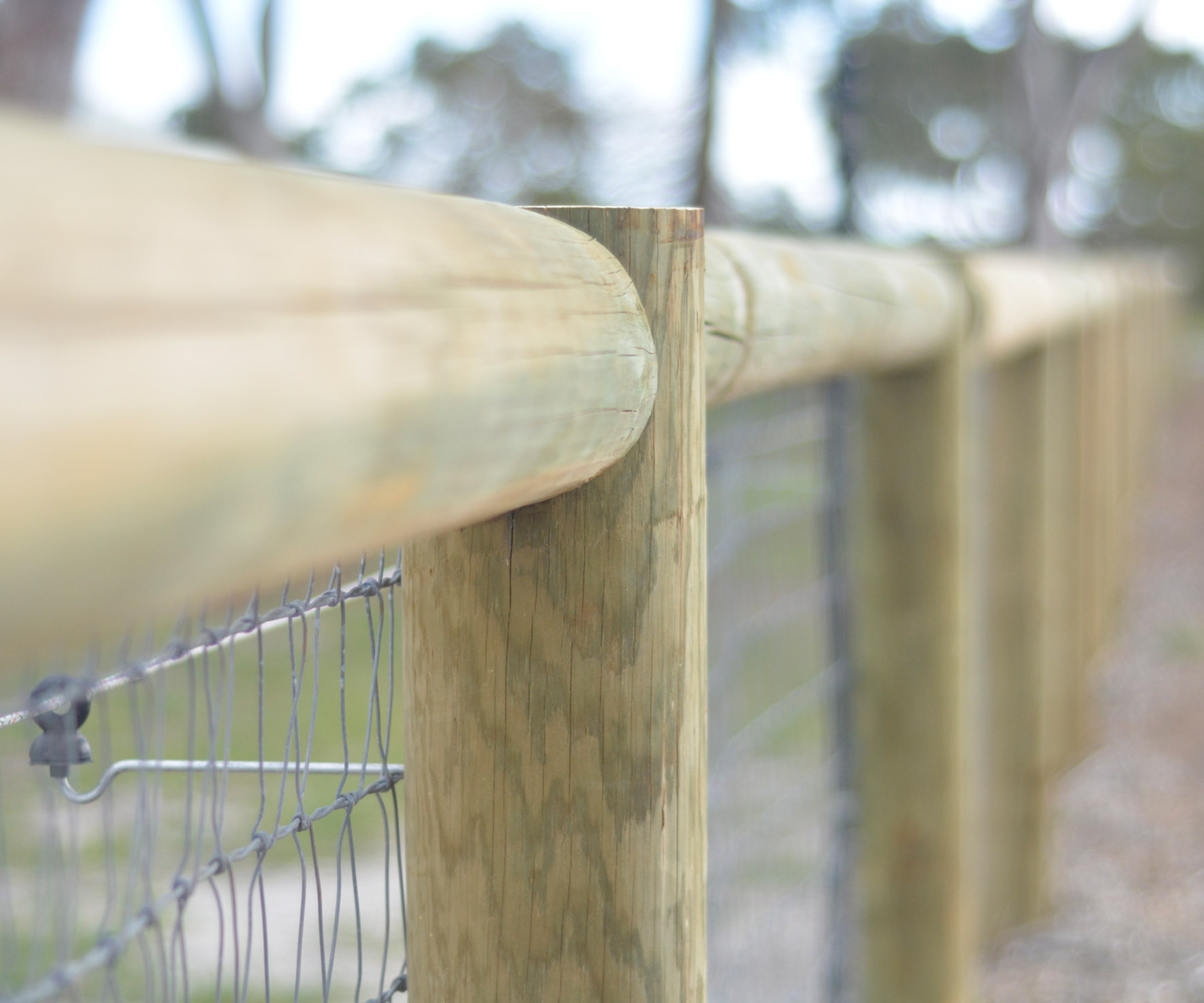 website design Busselton, website design Perth, Casa Studio, webdesign Busselton, webdesign Perth